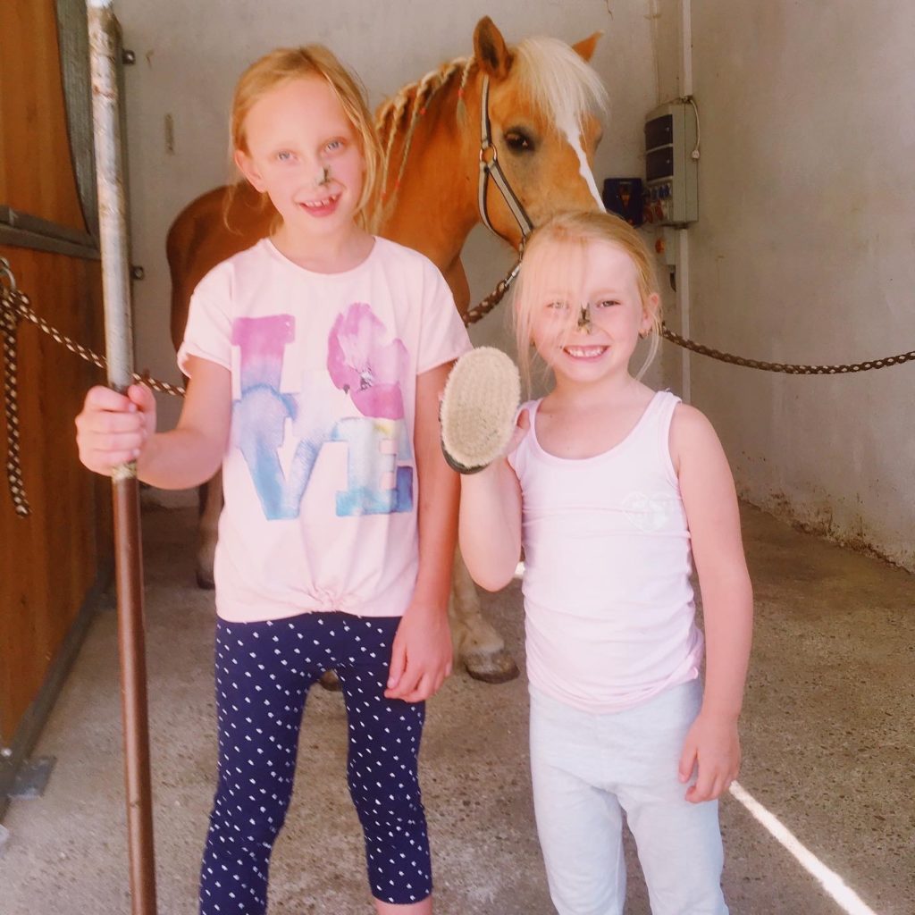 Der Sommer 2019 am Zwei Linden Hof war ein ganz besonderer